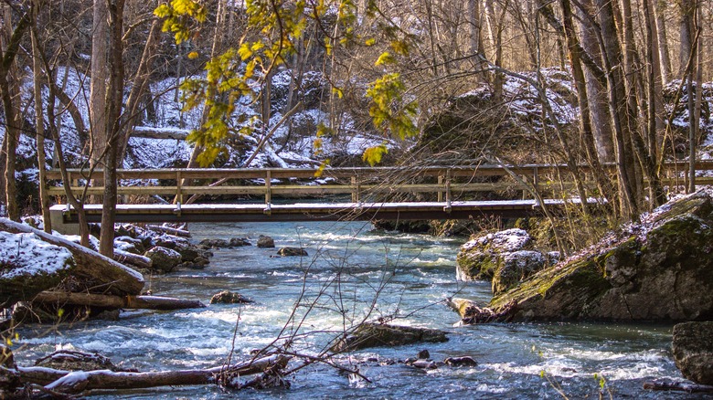 Massies Creek bridge crossing in Indian Mound Reserve