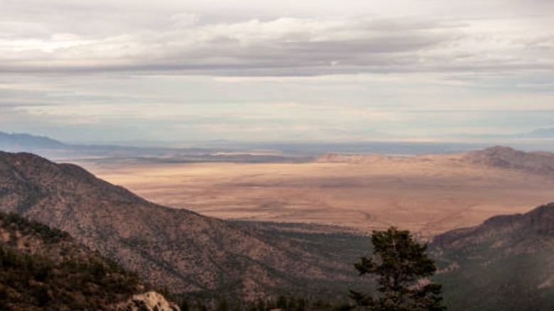 The view from the Magdalena Mountains of Cibola National Forest near Socorro, N.M.