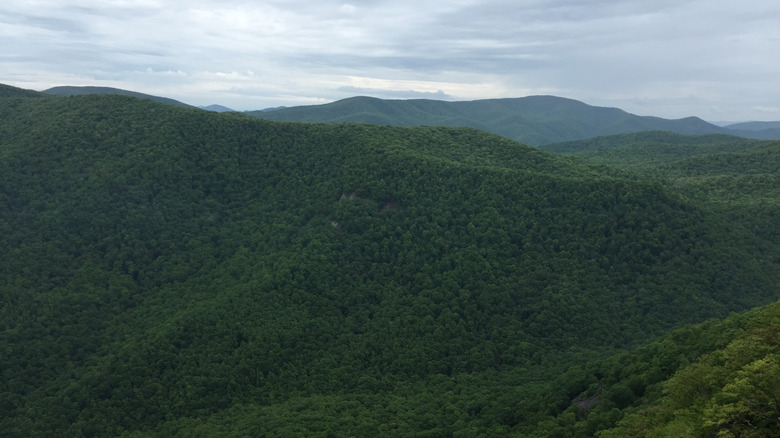 View of North Carolina's Nantahala National Forest from the Pickens Nose Trail