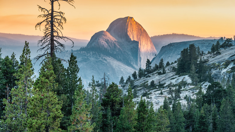 View of Half Dome from Olmsted Point, Yosemite