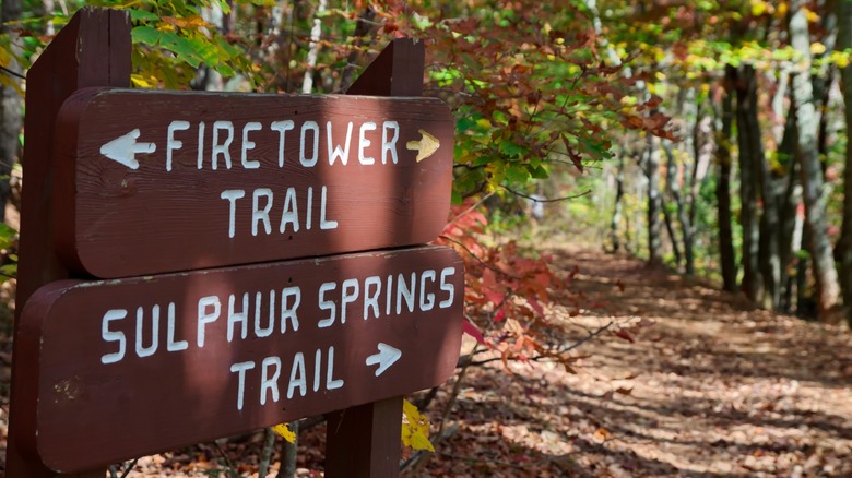 Wooden trail signs in Paris Mountain State Park in South Carolina