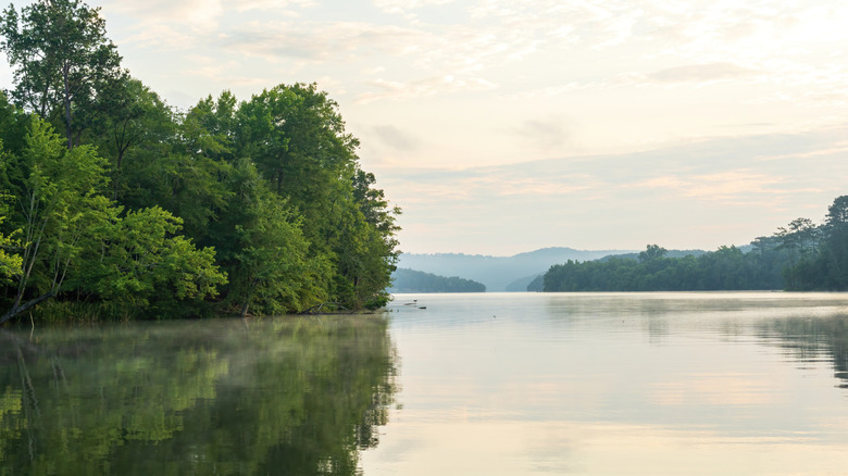 Lake Guntersville in Alabama with trees along the shore, reflecting on the water