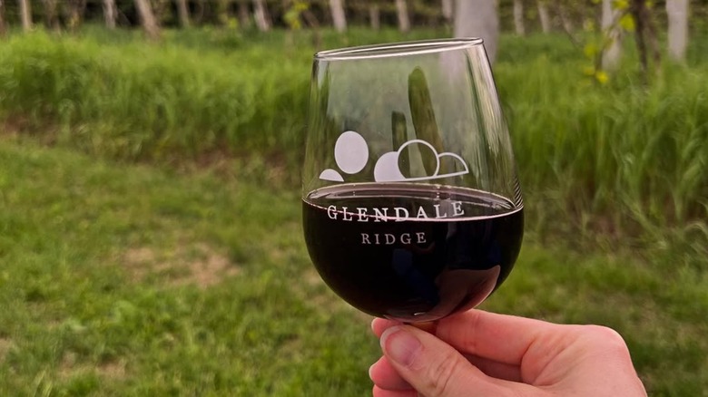 A person enjoying a glass of wine at Glendale Ridge Vineyard