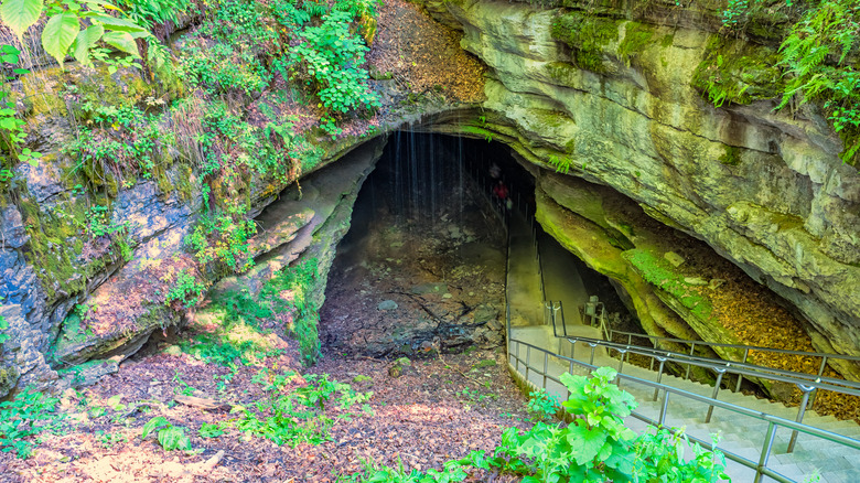 Opening to Mammoth Cave National Park gapes in Kentucky