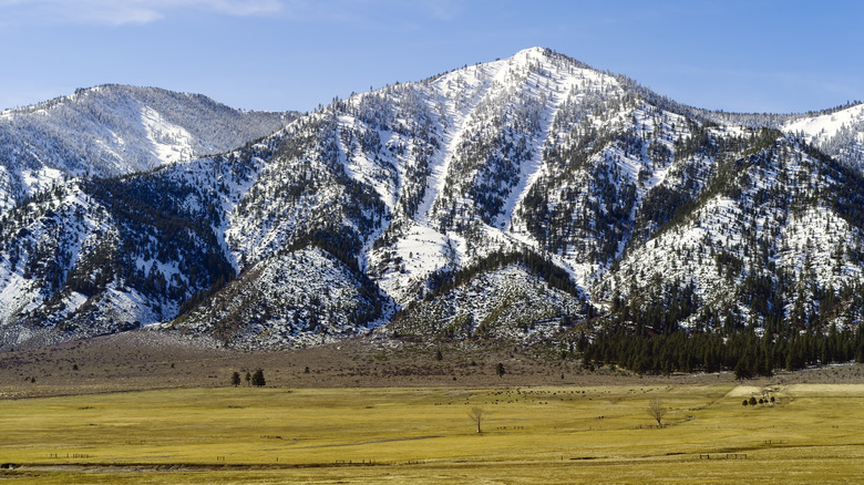 Freshly snow-capped mountains in Carson Valley