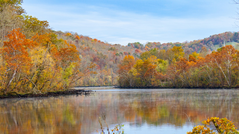 Beautiful fall foliage around Norris Lake in Tennessee