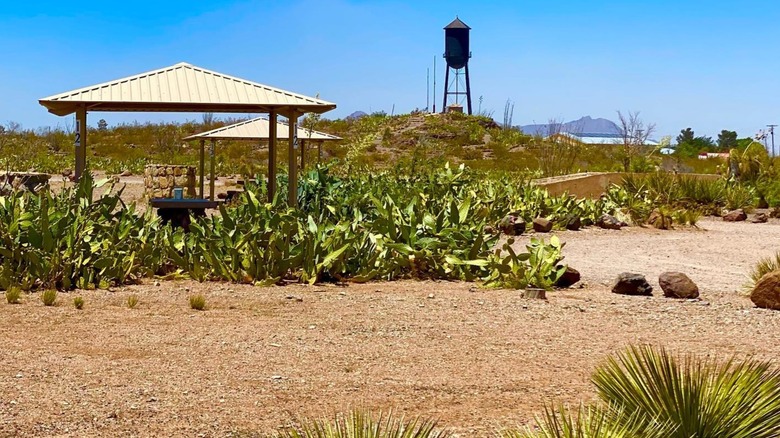 Picnic pavilions surrounded by cacti