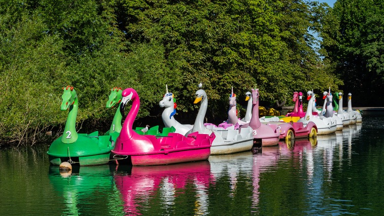 Swan boat rides at Alexandra Palace