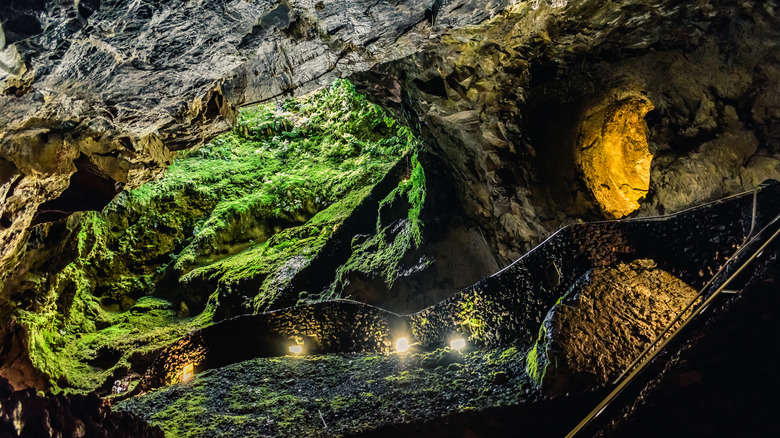 Cave with greenery on Terceira island