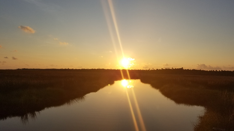 Sun setting over river in the Waccasassa Bay Preserve