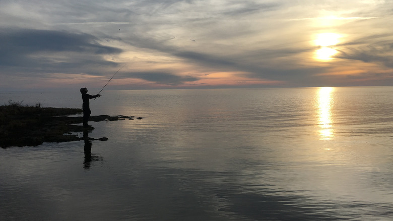 Silhouette of person fishing in the Gulf of Mexico, Waccasassa Bay Preserve