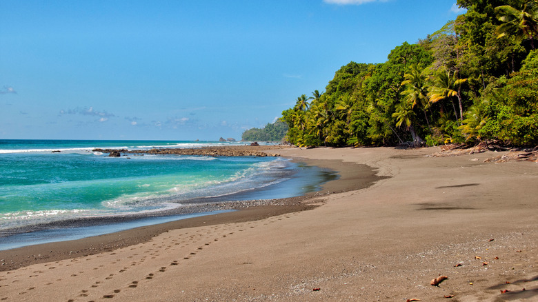 Remote beach in Corcovado National Park, Osa Peninsula.