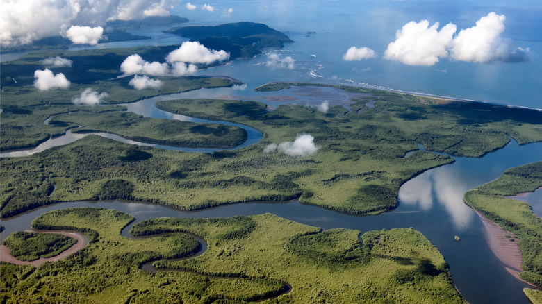 Aerial view of Terraba-Sierpe National Wetlands.