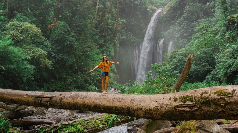Crossing a fallen jungle tree