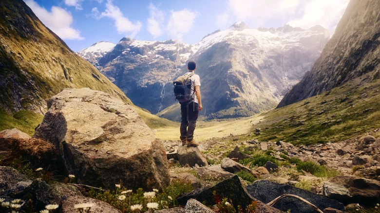 Photo of hiker gazing at mountains in Fiordland