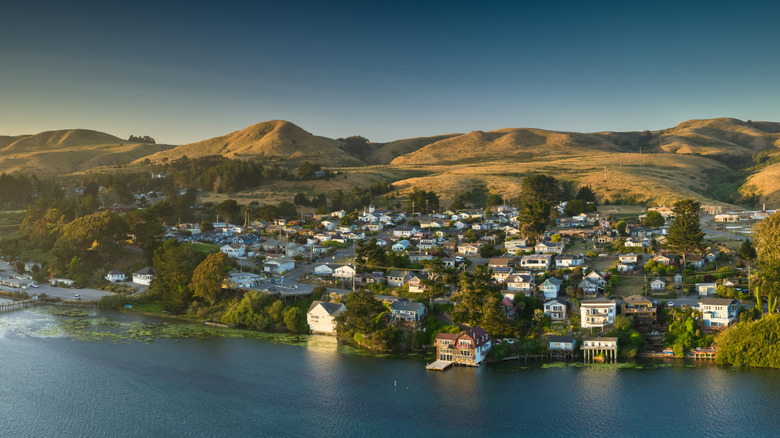 Bodega Bay at sunset
