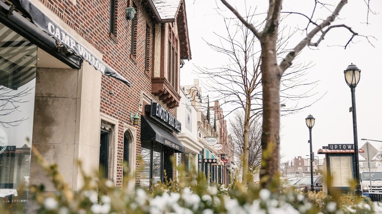 Street view of Uptown in Park Ridge, Illinois featuring storefronts and bare trees
