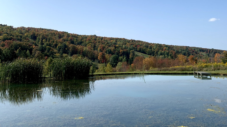 A lake stretches before a hill with autumn colors