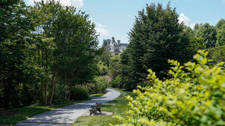 Walking trail at the Biltmore 
