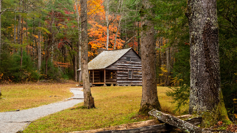 A cabin in Cades Cove of the Great Smoky Mountains during autumn