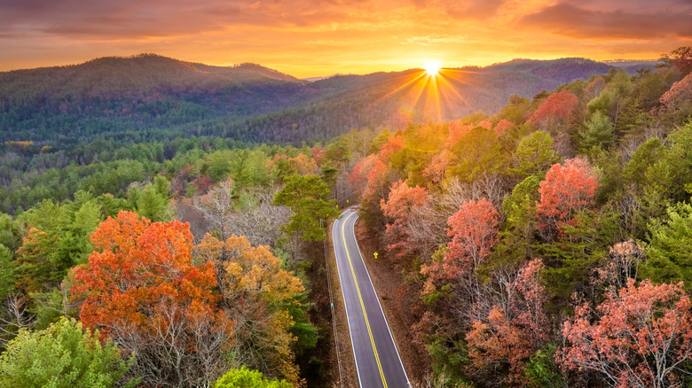 A forest road in the Tennessee Appalachians in the fall