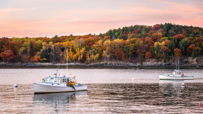 Boats in Bar Harbor, Maine with foliage in background