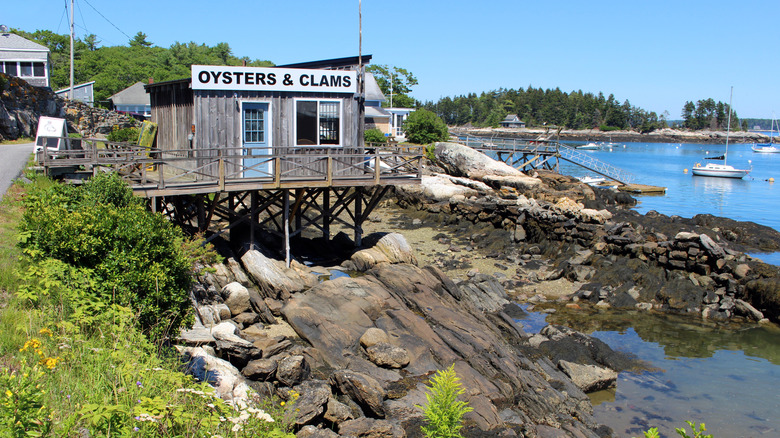 Oysters and clams shack on the rocky coast of Maine