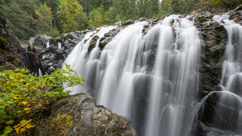 Englishman River Falls, British Columbia