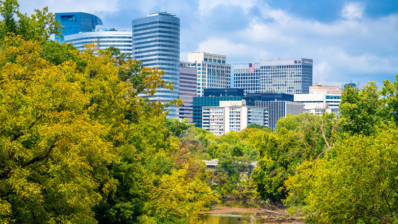 A view of Arlington, VA framed by greenery