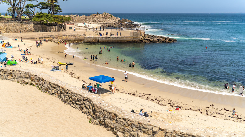 Beach at Lovers Point Park