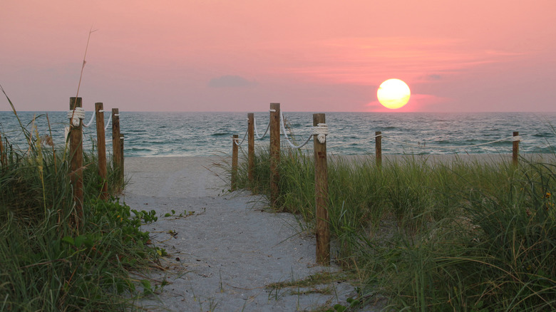 Captiva Island dunes