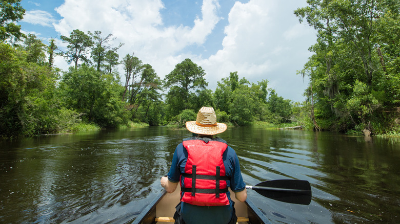 Man canoeing through Louisiana wetlands