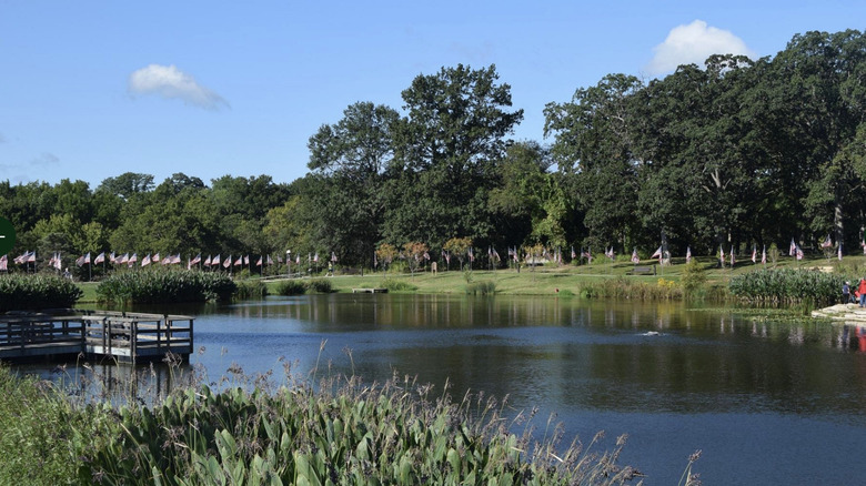 A view of the lake in Kirkwood Park on a sunny day in Kirkwood, MO