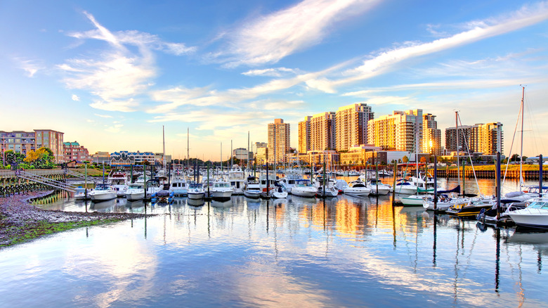 View of the marina and harbor with downtown Stamford in the background during the day.