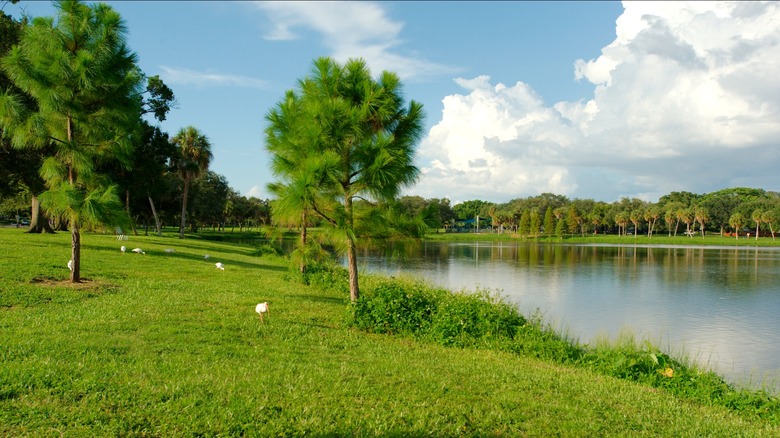 Crescent Lake Park in St. Petersburg, Florida