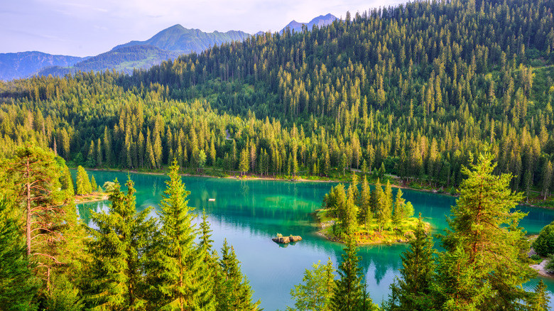 Alpine Caumasee lake in Flims