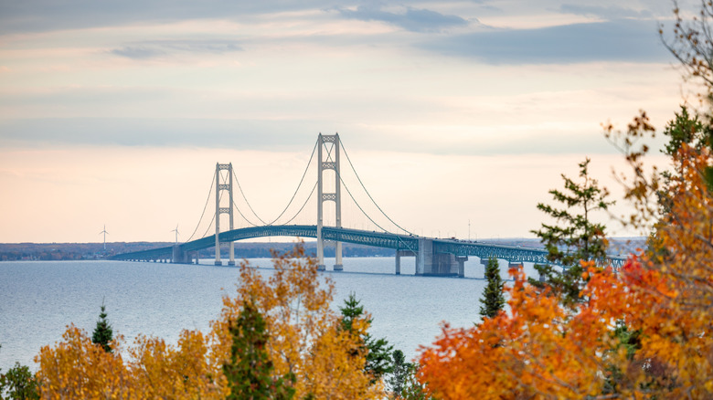 Mackinac Bridge surrounded by fall foliage on clear day in Michigan