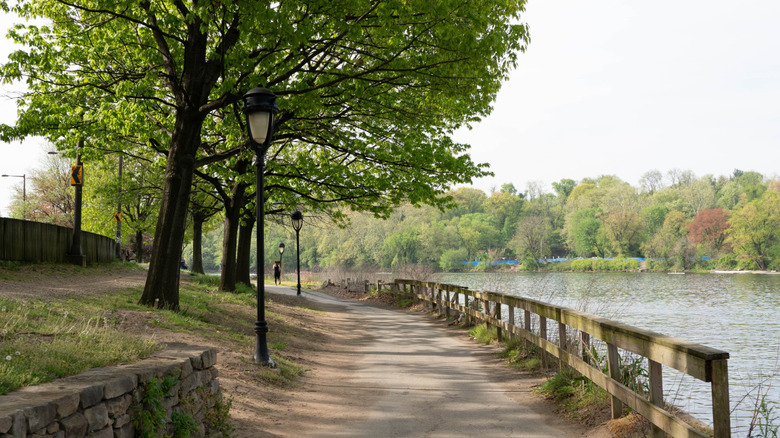 The path on the Schuylkill River Trail next to the water surrounded by trees