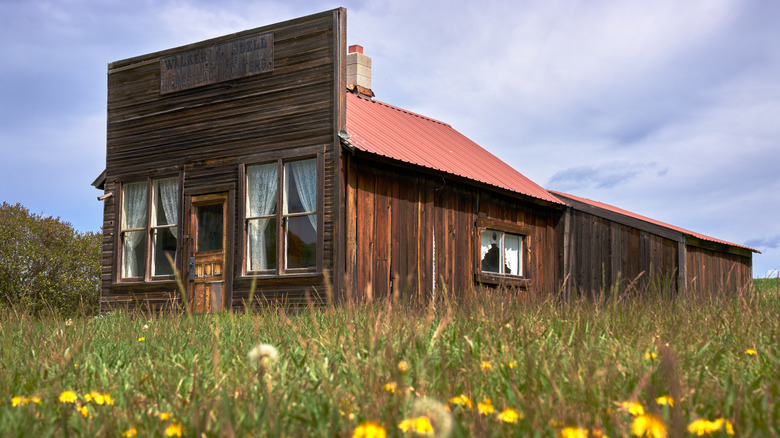 Abandoned wooden store in grass and wildflowers Molson Washington