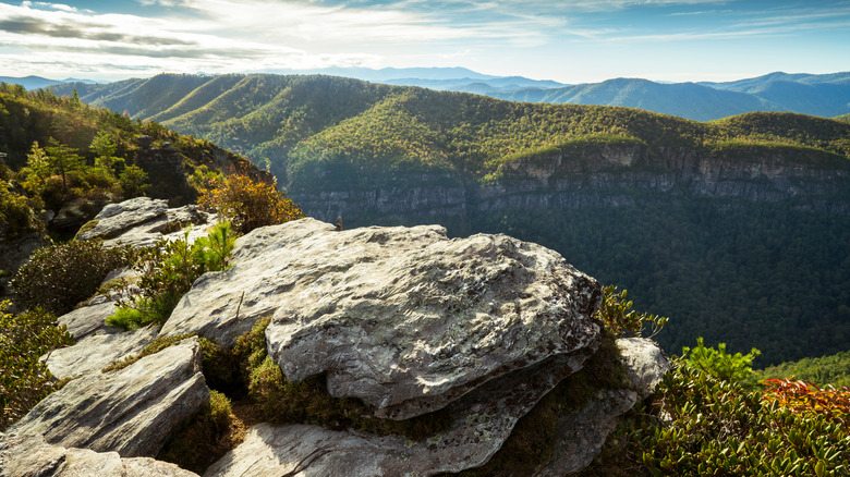 Gorge in North Carolina mountains