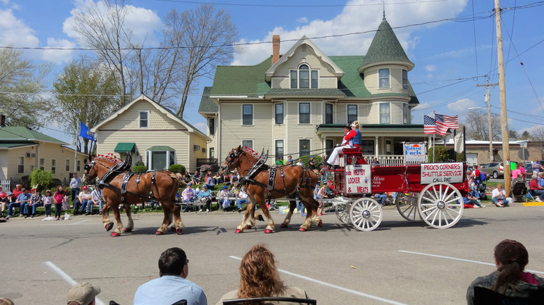 Spectators watch horse-drawn carriages go by during Westby's Norwegian Independence Day parade.