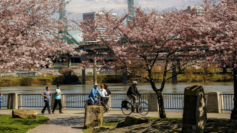 Cyclists and pedestrians traveling near Willamette River