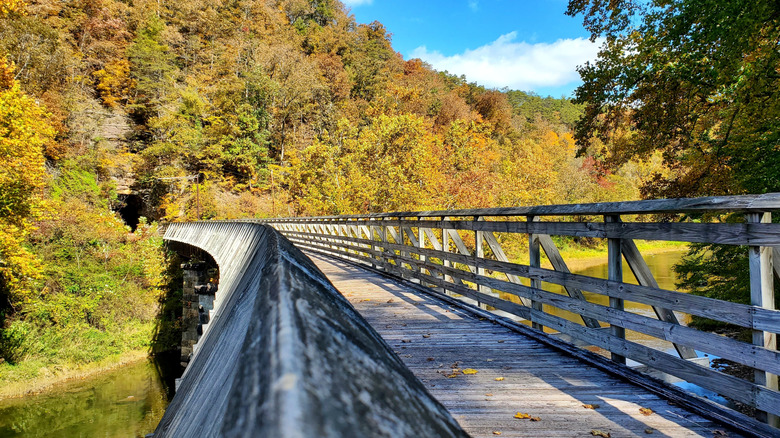 The wooden bridge of The Greenbrier River Trail cuts over a river and into the wooded mountainside.