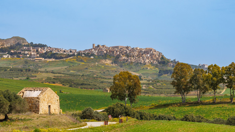 A green, spring landscape surrounding the medieval city of Salemi, Italy
