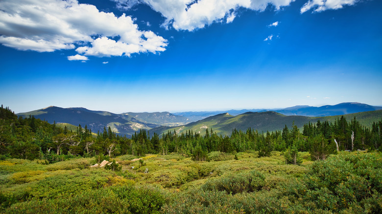 A scenic view of the mountains in the background with trees and bushes in the front and a cloudy blue sky above