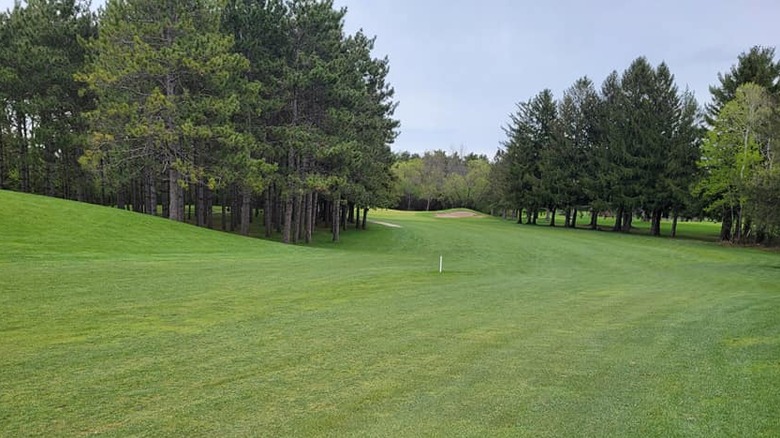 Rolling fairways and pine trees and New rRchmond Golf Club