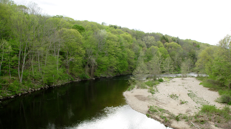 The Farmington River runs through American Legion State Forest