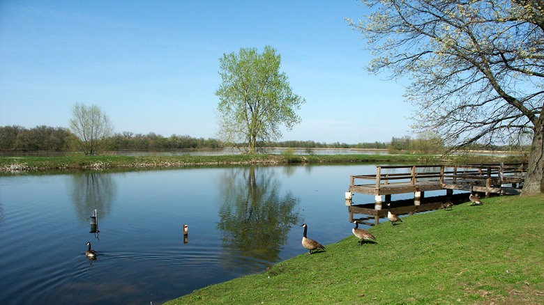 Willow Slough Fish and Wildlife Area