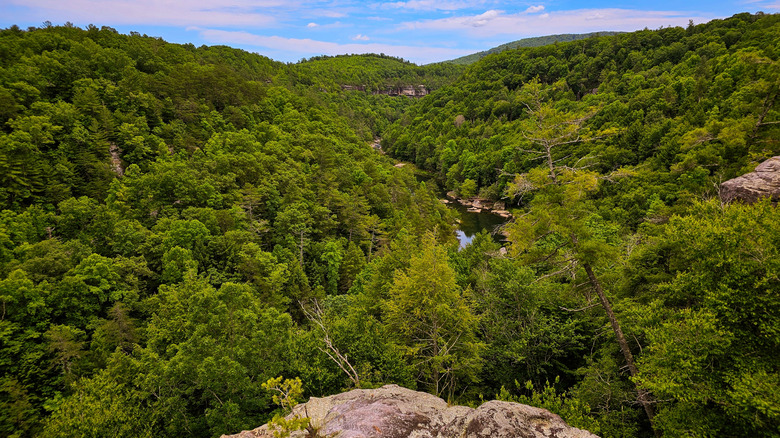 Lilly Bluff in Tennessee's Obed Wild and Scenic River, part of the National Park Service