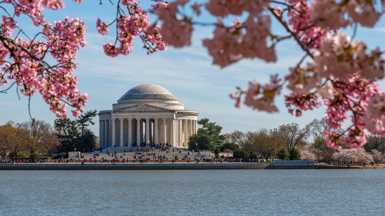 Thomas Jefferson Memorial in spring with cherry blossoms